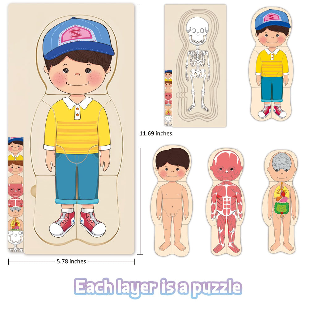MoinKidz My Body Puzzle layer 2 highlights muscles and organs for exploration