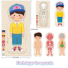 MoinKidz My Body Puzzle layer 2 highlights muscles and organs for exploration