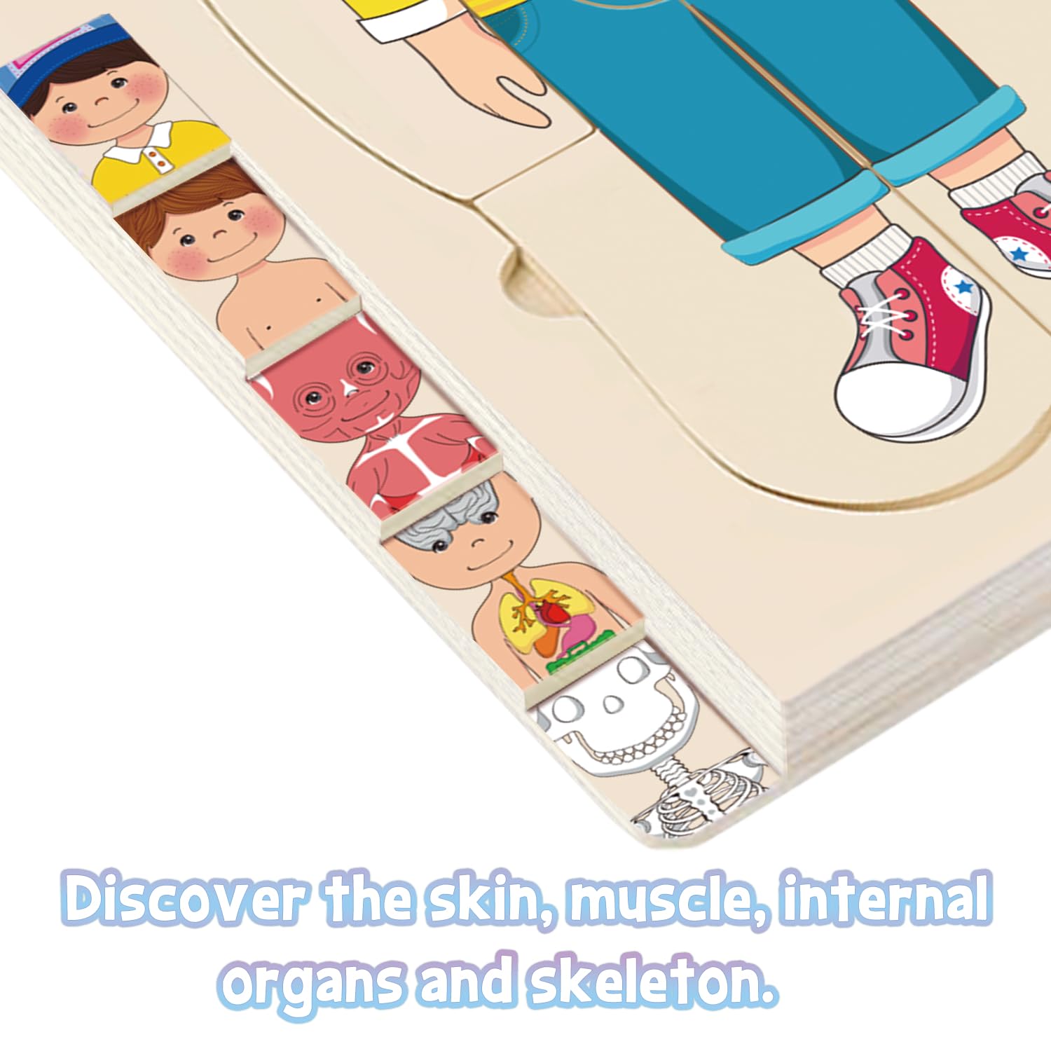 MoinKidz layer 4 focuses on the skeletal system with connected pieces