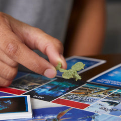 Monopoly Avatar Edition Na’vi character tokens representing clan members.