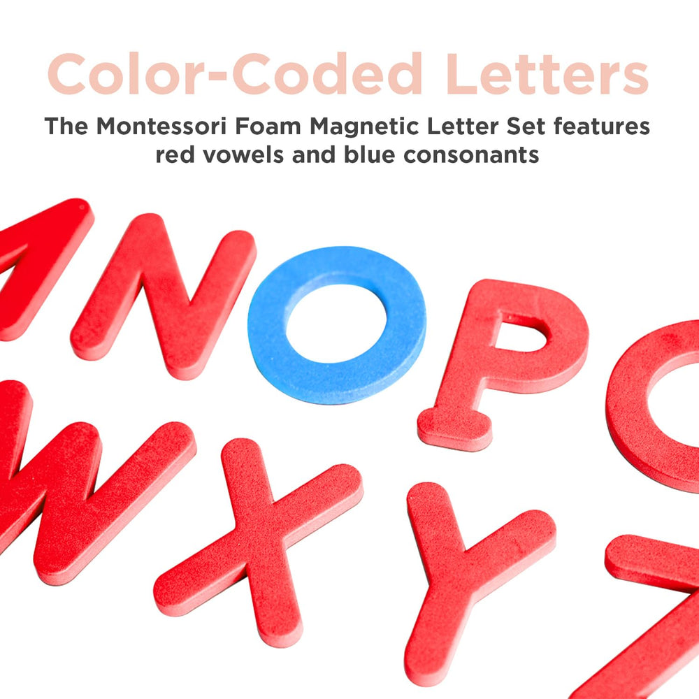 Montessori & Me learning activity with letters suitable for home or classroom use.
