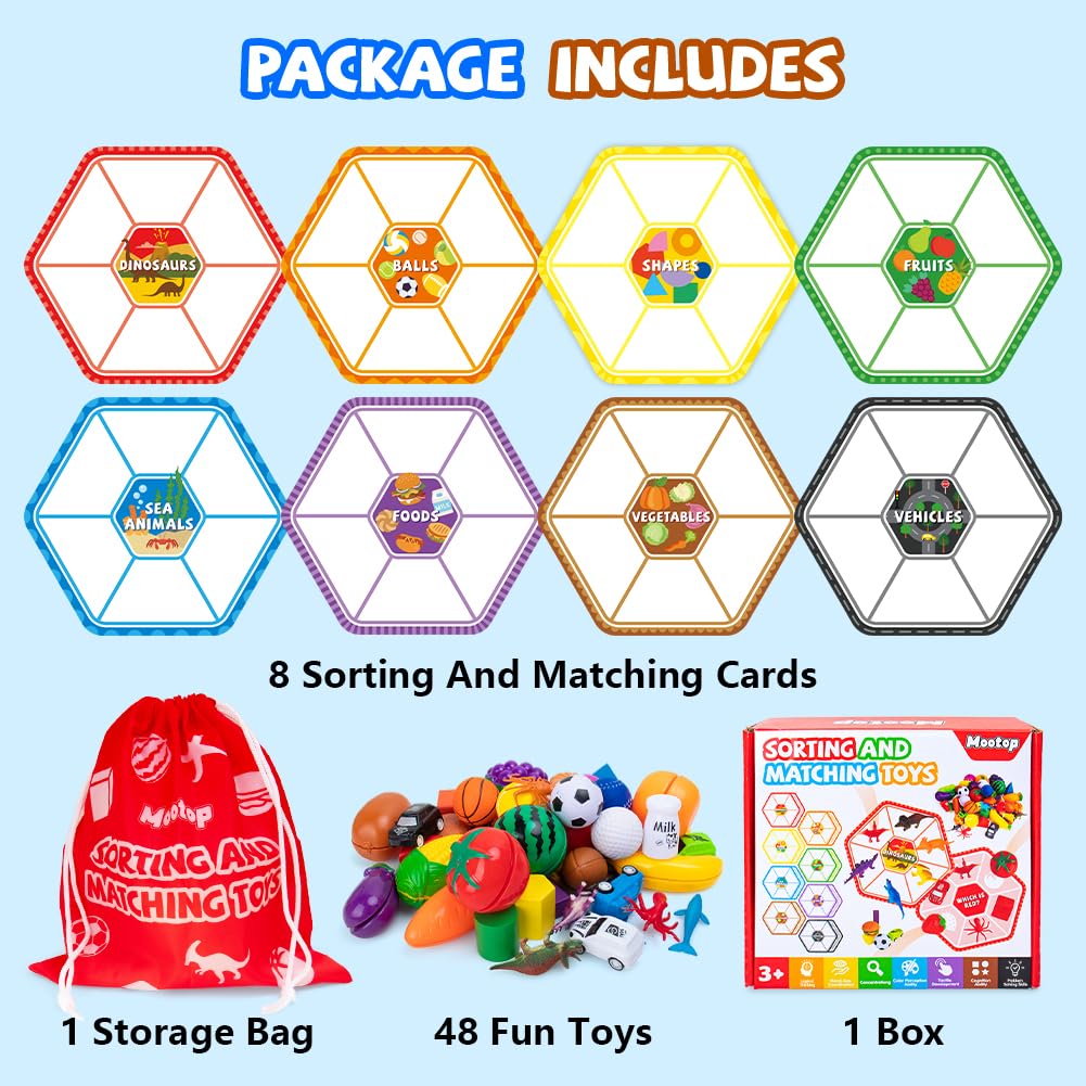 Mootop Sorting Toys colorful balls promoting hand-eye coordination and sorting.
