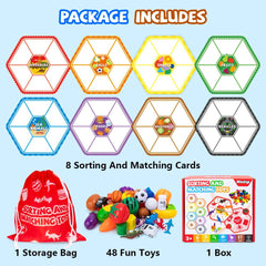 Mootop Sorting Toys colorful balls promoting hand-eye coordination and sorting.