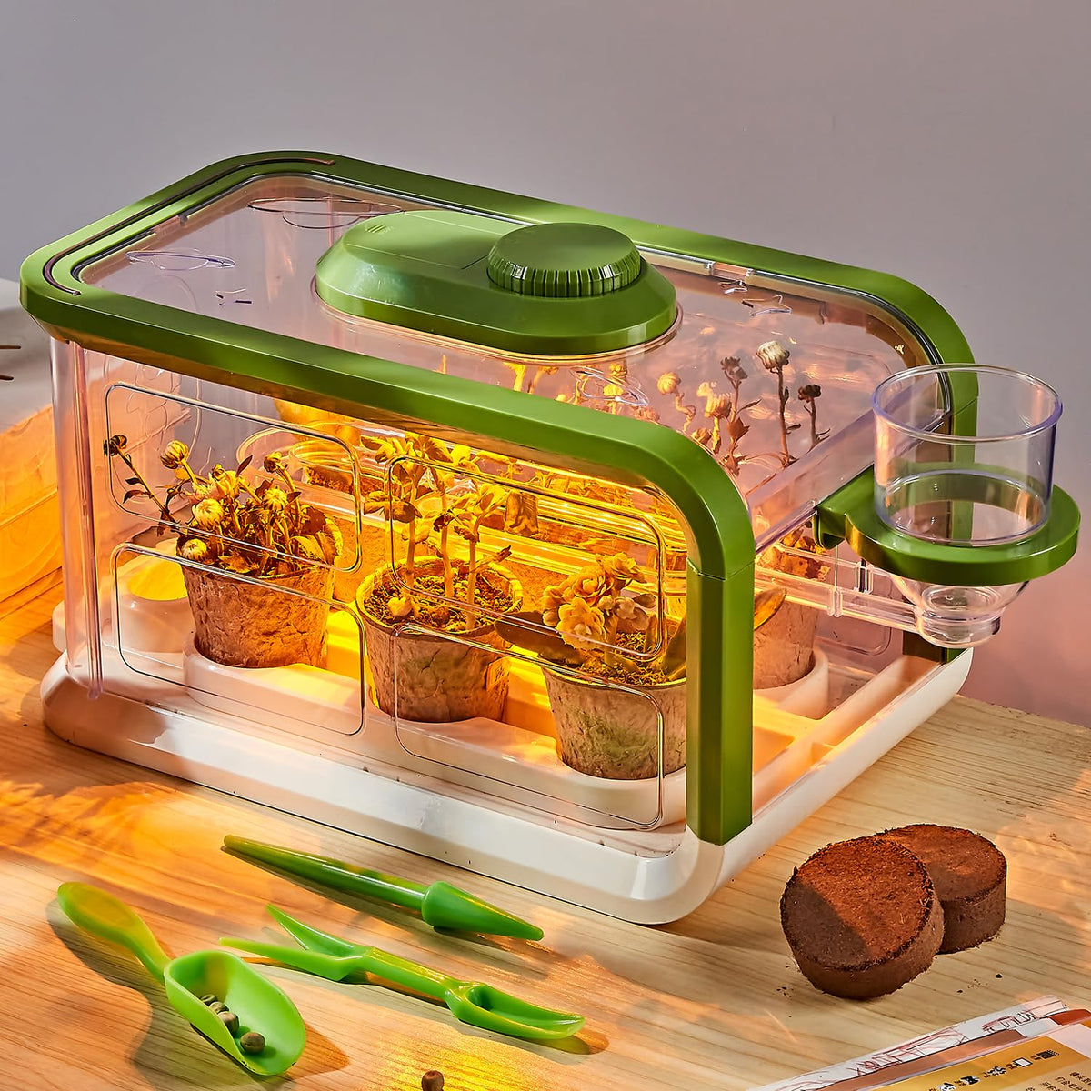 Mostop Kids Garden Kit setup shows a complete greenhouse start for hands-on science