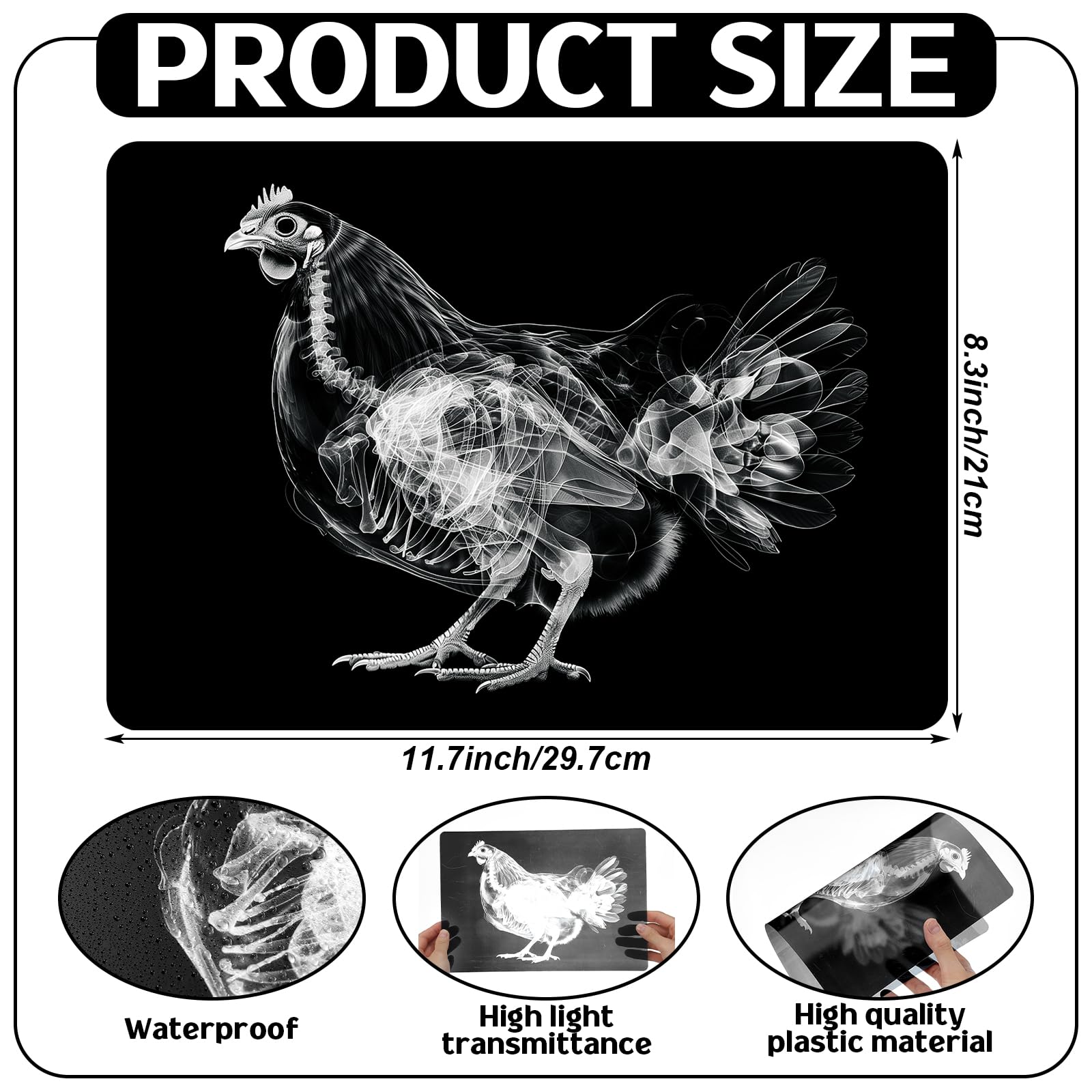Motiskyy Animal X-Ray Flashcard Ducks provides clear internal silhouettes for science demos.