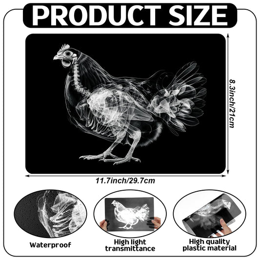 Motiskyy Animal X-Ray Flashcard Ducks provides clear internal silhouettes for science demos.