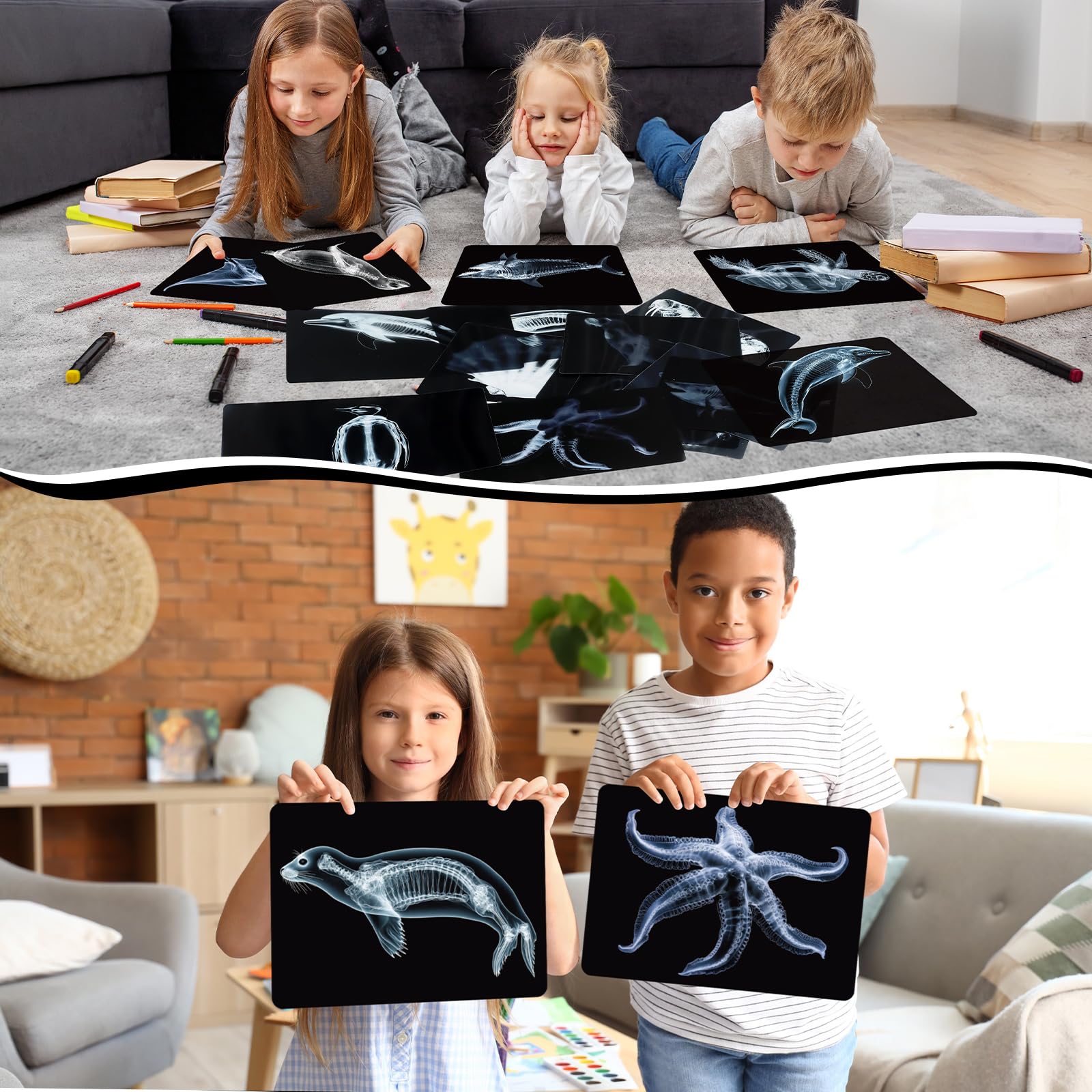 Motiskyy Marine Animal X-Ray Sea-Horse card for micro-anatomy curiosity and sustained attention.