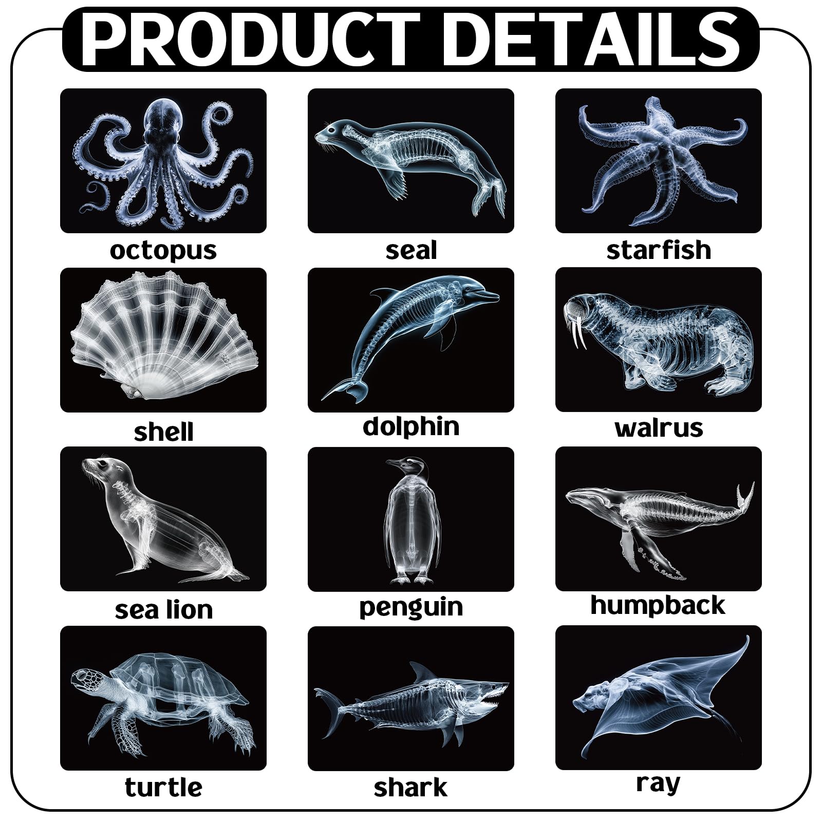 Motiskyy Marine Animal X-Ray Whale card for big-picture anatomy exploration in groups.