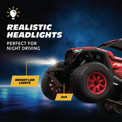 Motor Dayz Polaris RZR RC car 2.4GHz remote for precise steering