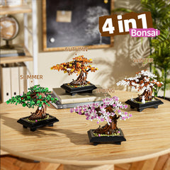 Muiurple desk display after build adds natural ambience to home or office