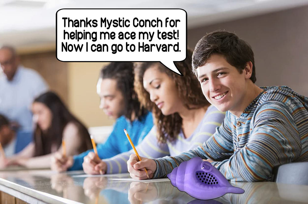 MunnyGrubbers Mystic Conch Shell gift idea for teens and adults.