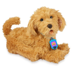 My Fuzzy Friends Moji nurturing cards unlock extra care moments.