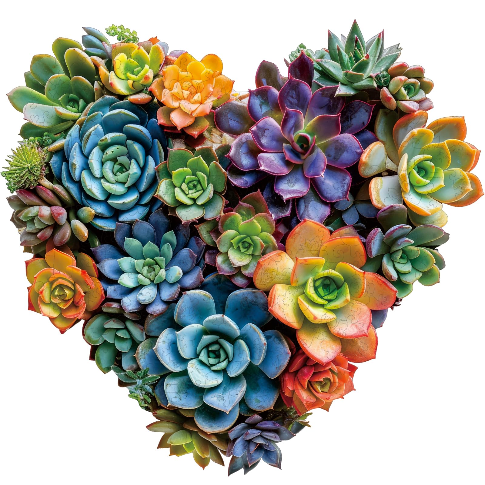 Mys Aurora Heart Succulent puzzle with vibrant hand-painted art for mindful family fun