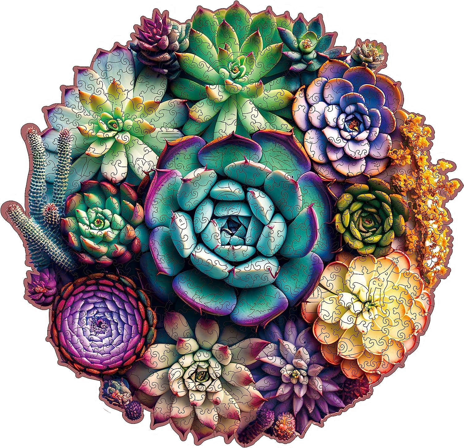 Mys Aurora mandala succulent puzzle king-size for mindful family play.