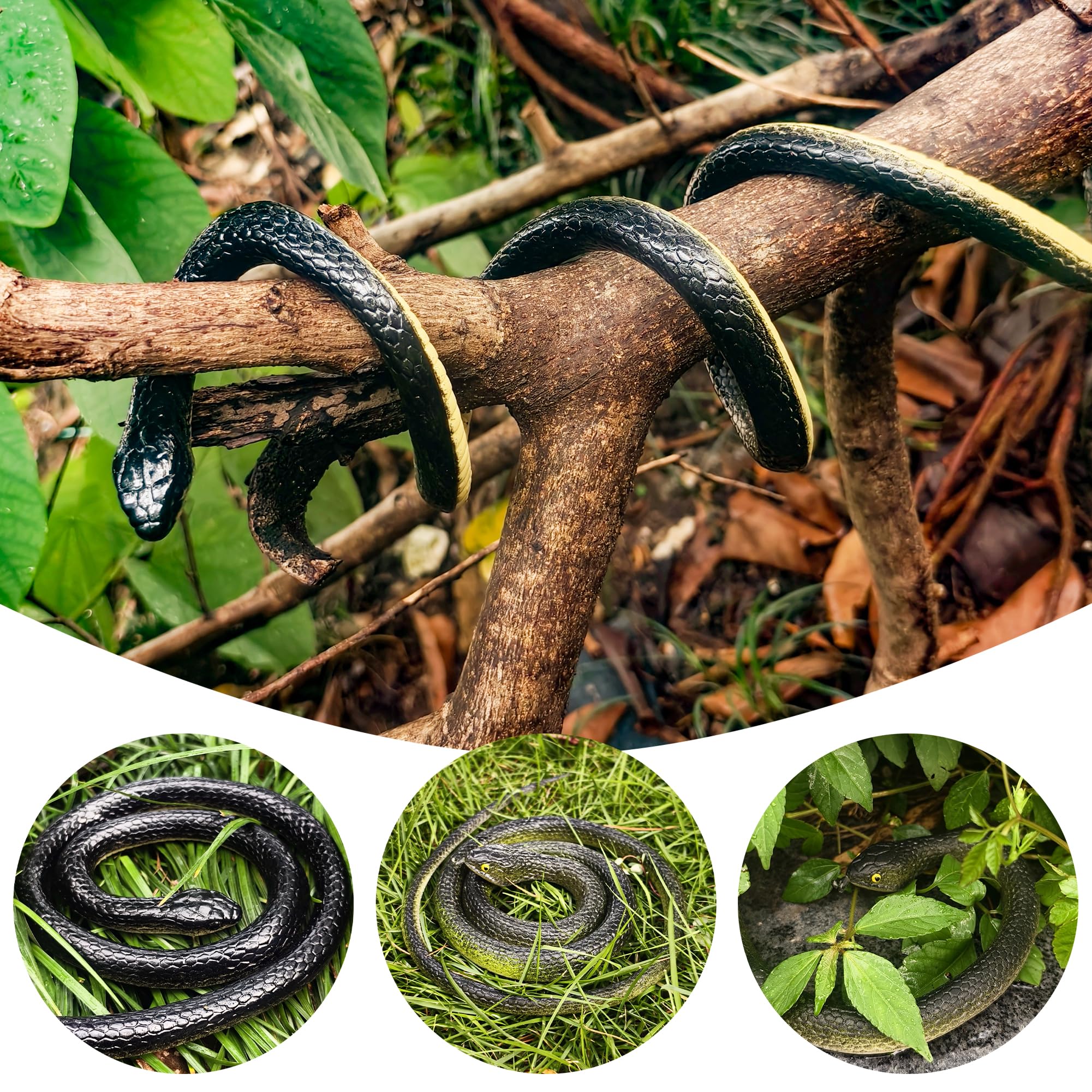 NAKIMO garden-snake among grass, helps deter pests and delight visitors