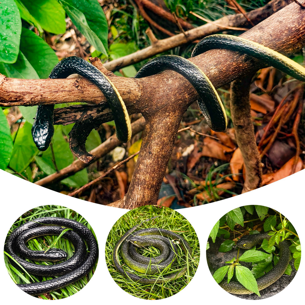 NAKIMO garden-snake among grass, helps deter pests and delight visitors