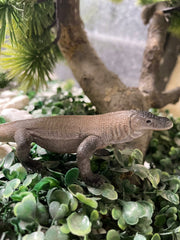 NAKIMO Komodo Dragon figurine prank prop for April Fool's setups