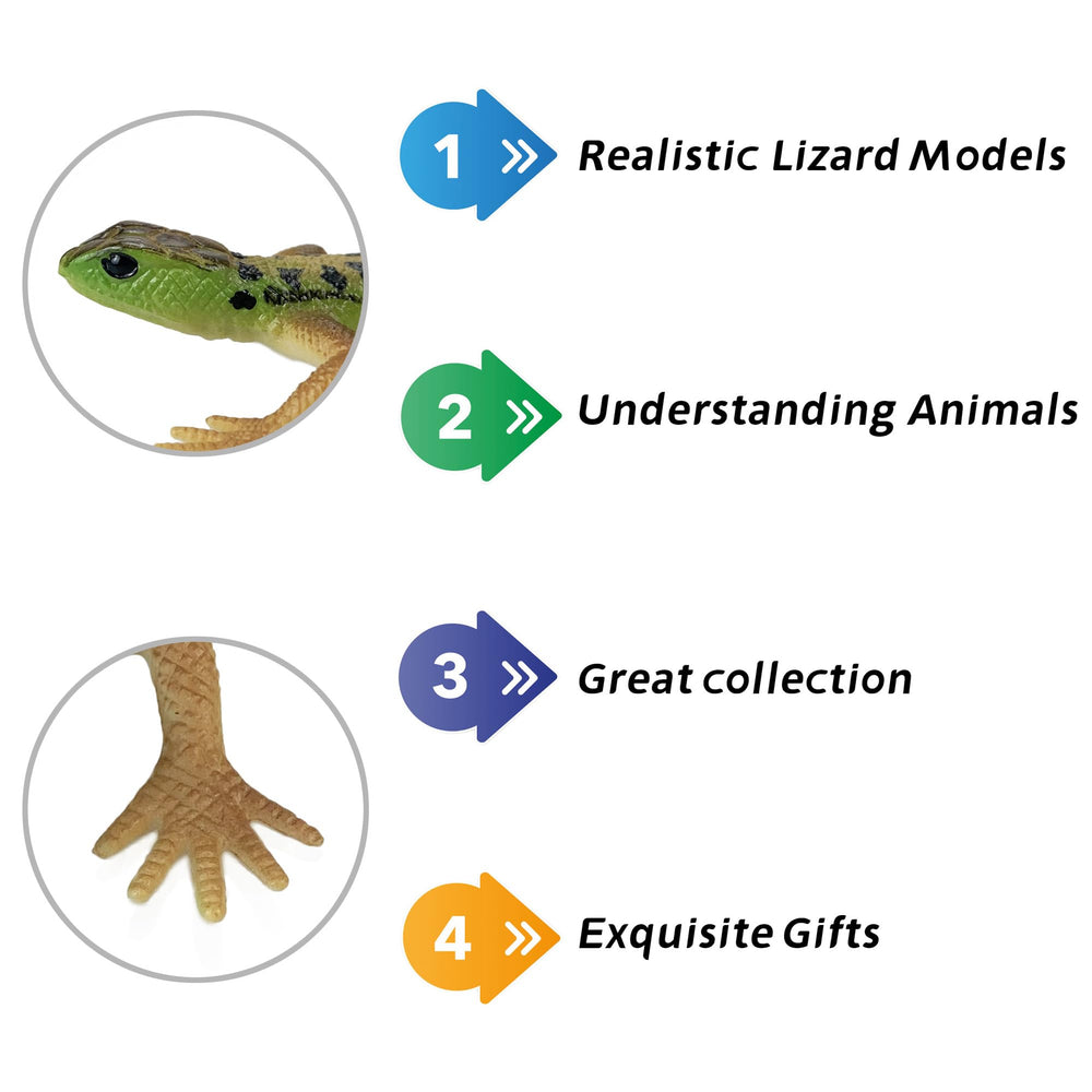 NAKIMO lizard toy designed as a durable model for kids' science demos