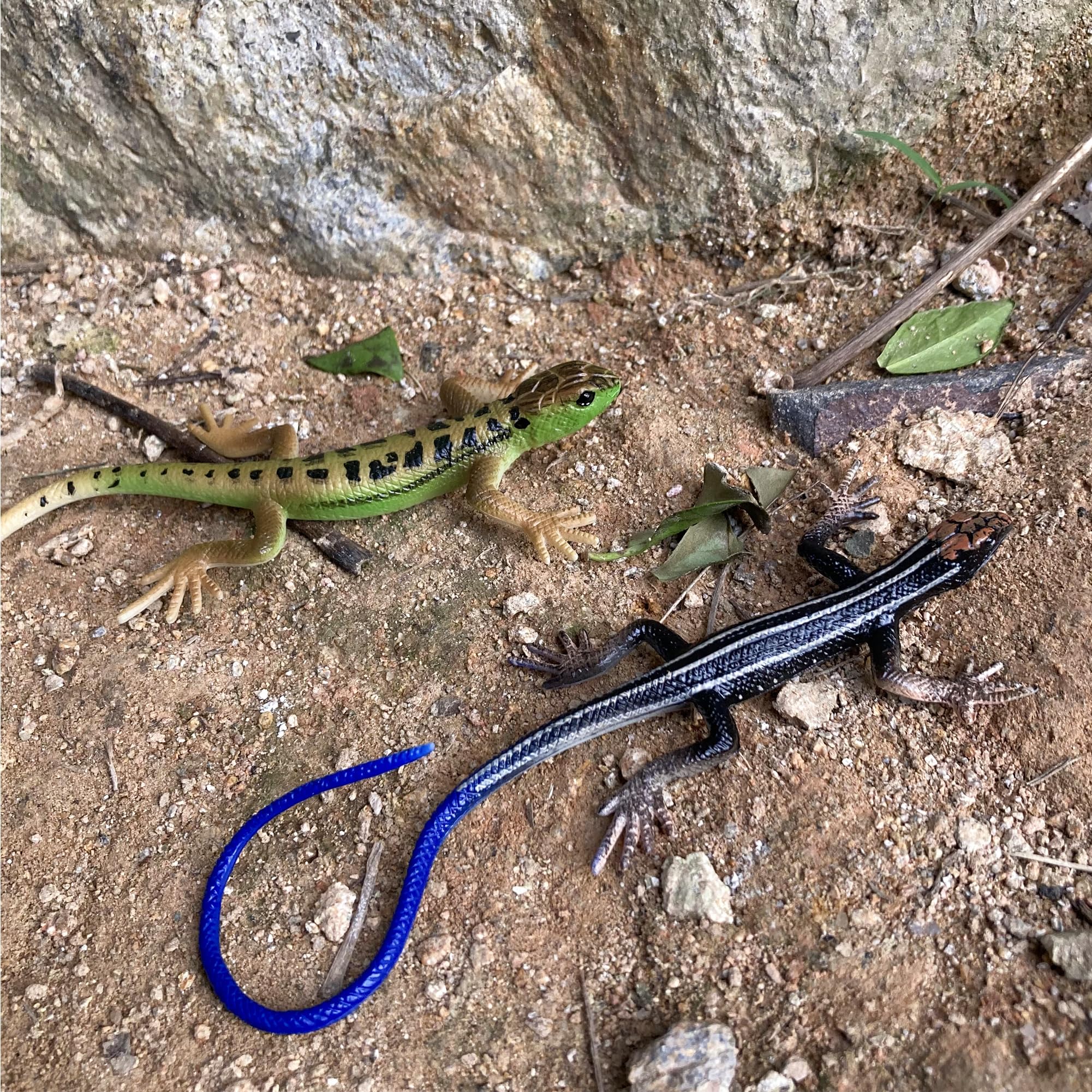 NAKIMO plastic lizard model stays intact during holidays and crafts