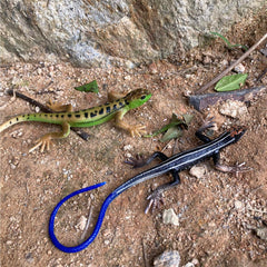 NAKIMO plastic lizard model stays intact during holidays and crafts