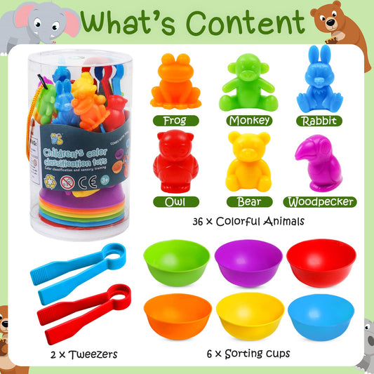 NAODONGLI rainbow sorting bowls – bright bowls aid sorting, counting, and fine motor practice