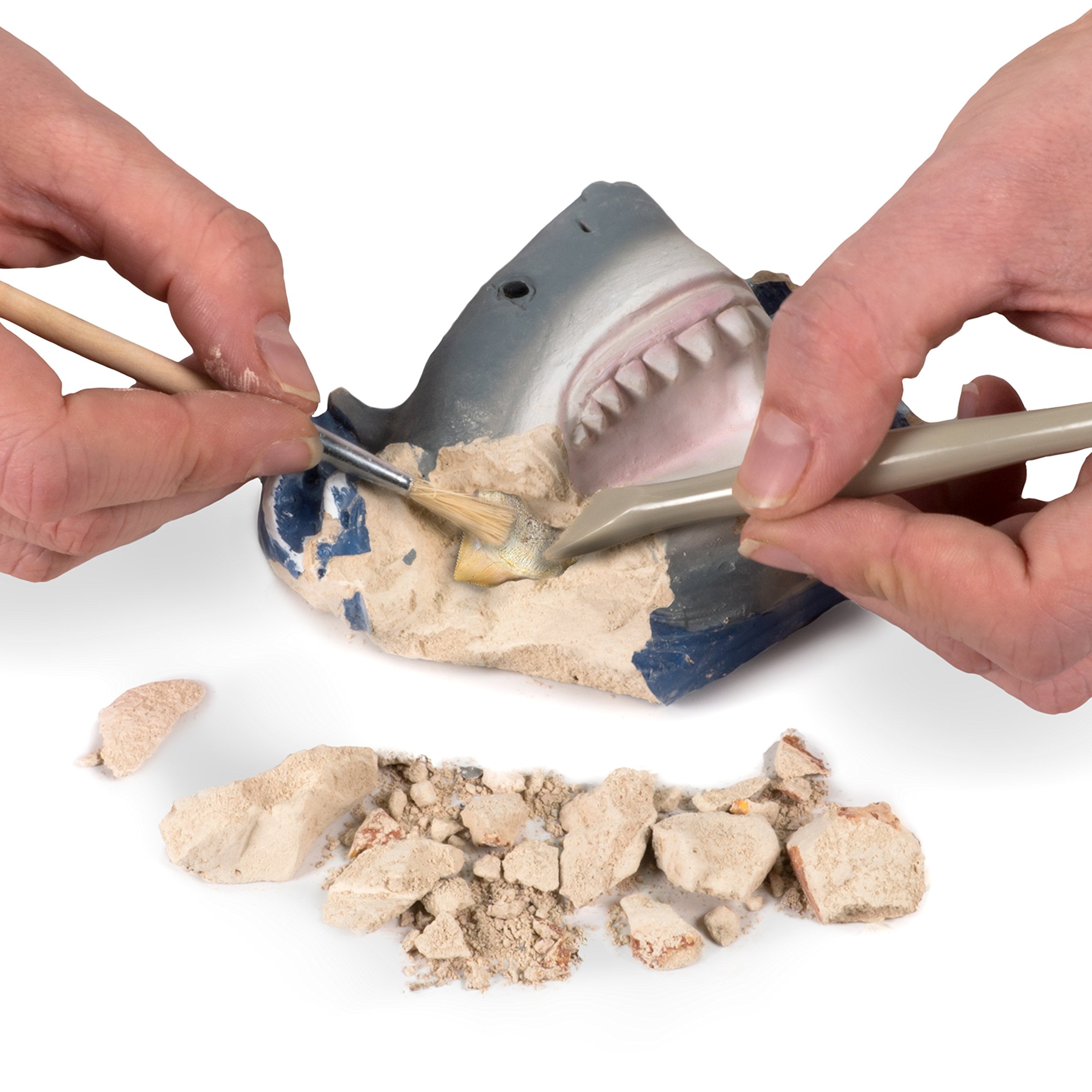 National Geographic Dig Kit full-color guide enhances shark learning