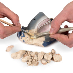 National Geographic Dig Kit full-color guide enhances shark learning