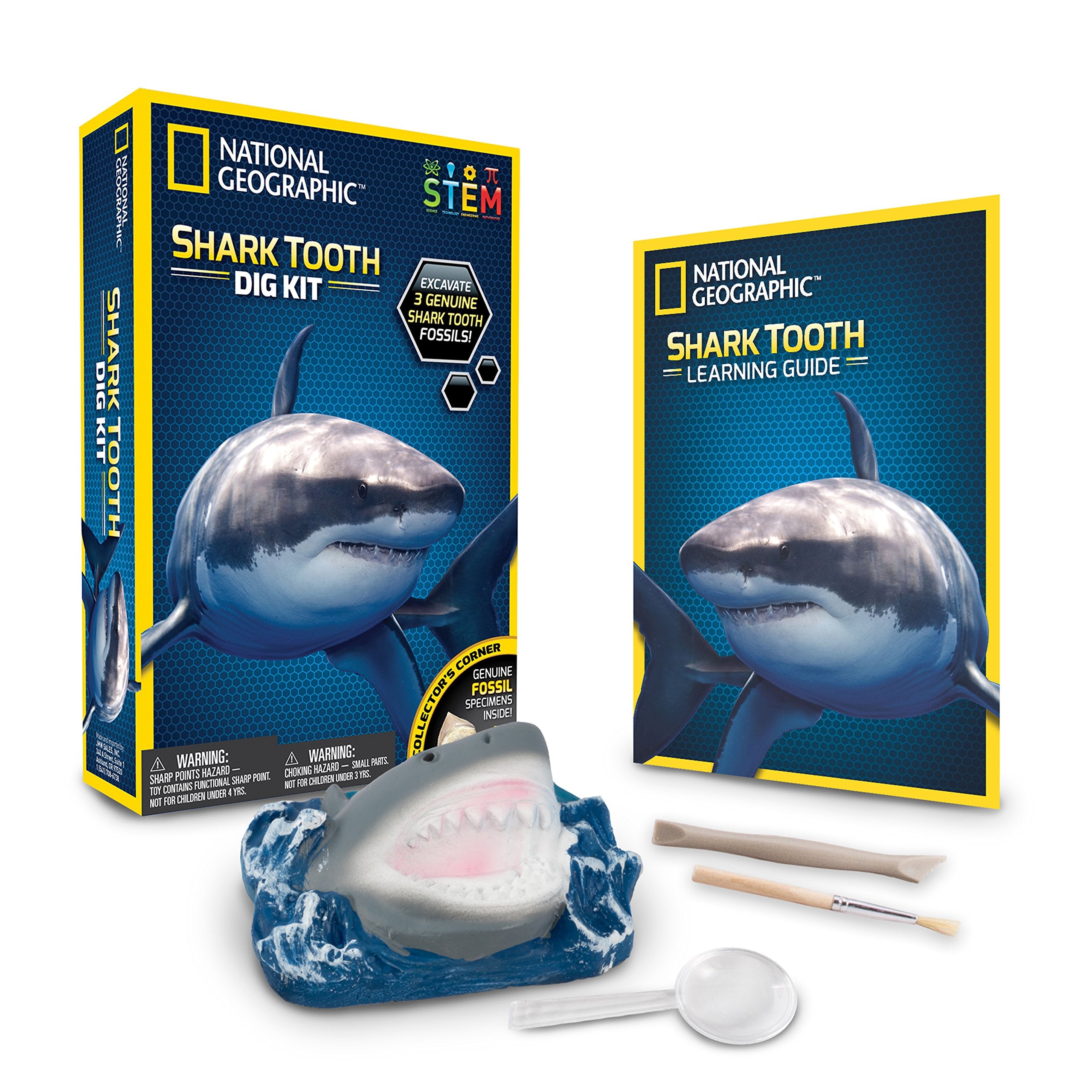 National Geographic Dig Kit shows real shark teeth fossils for hands-on discovery