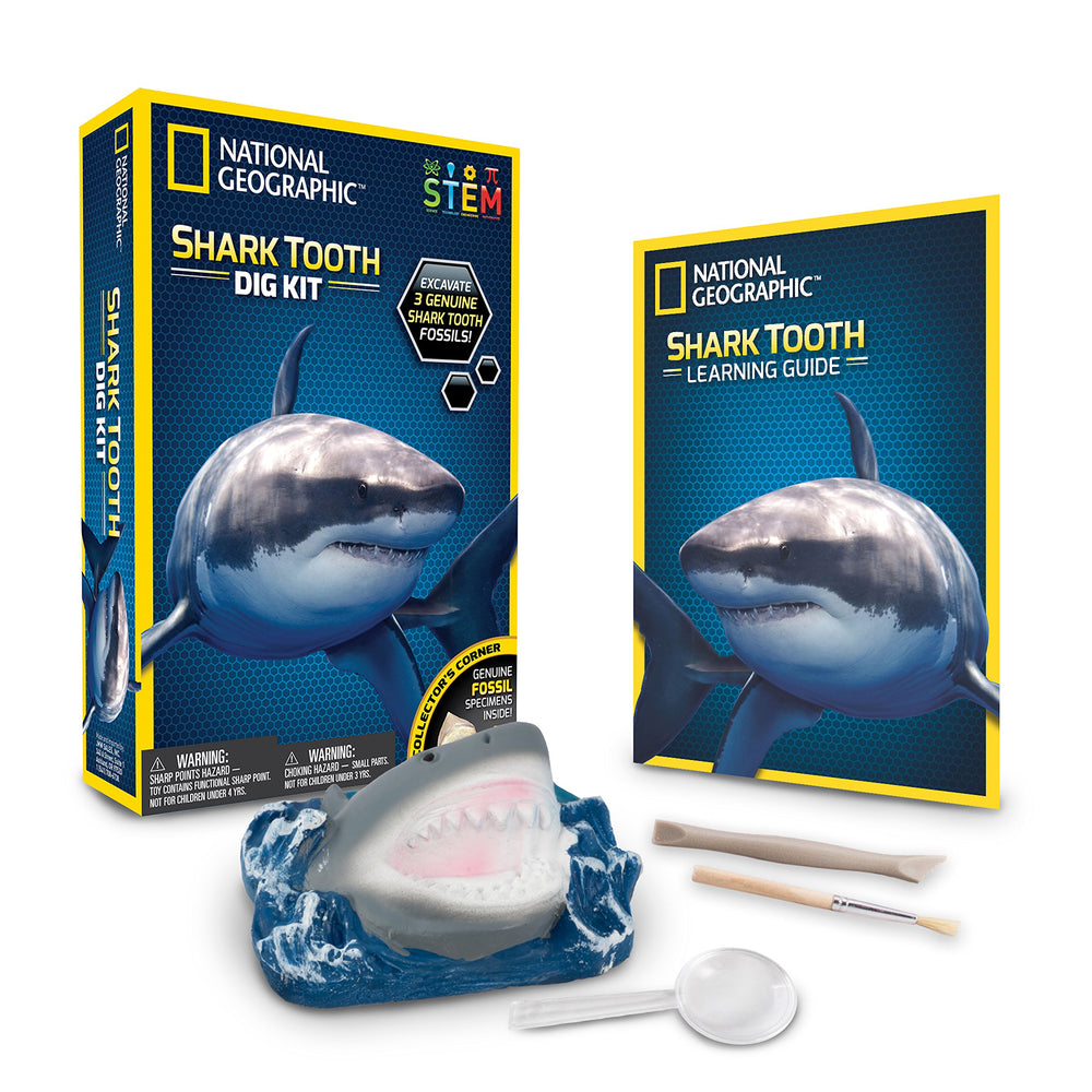 National Geographic Dig Kit shows real shark teeth fossils for hands-on discovery
