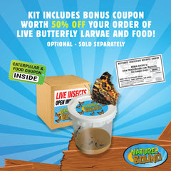 Nature Bound butterfly growing kit colorful-butterflies promises a final display and wonder