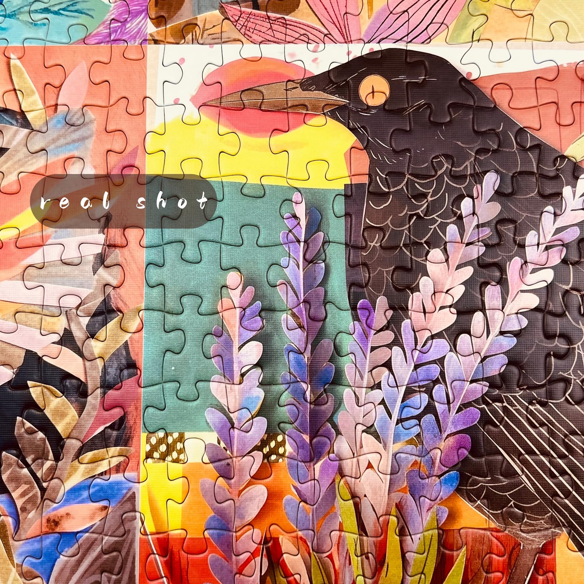 Naturelish vibrant birds artwork highlighted by bold colors for engaging visual appeal.
