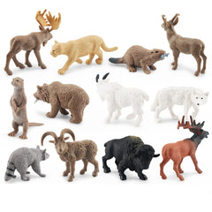 NatureMan raccoon figurine sparks curiosity for educational displays.