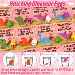 NAWITDA eggs submerged in water hatch within hours