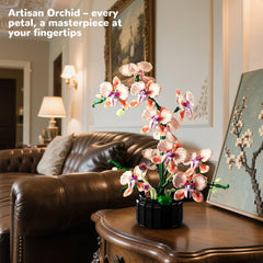 Nayihoop Orchid color illustrated instructions guide simple assembly