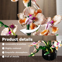 Nayihoop Orchid pink bloom finish adds vibrant, maintenance-free decor