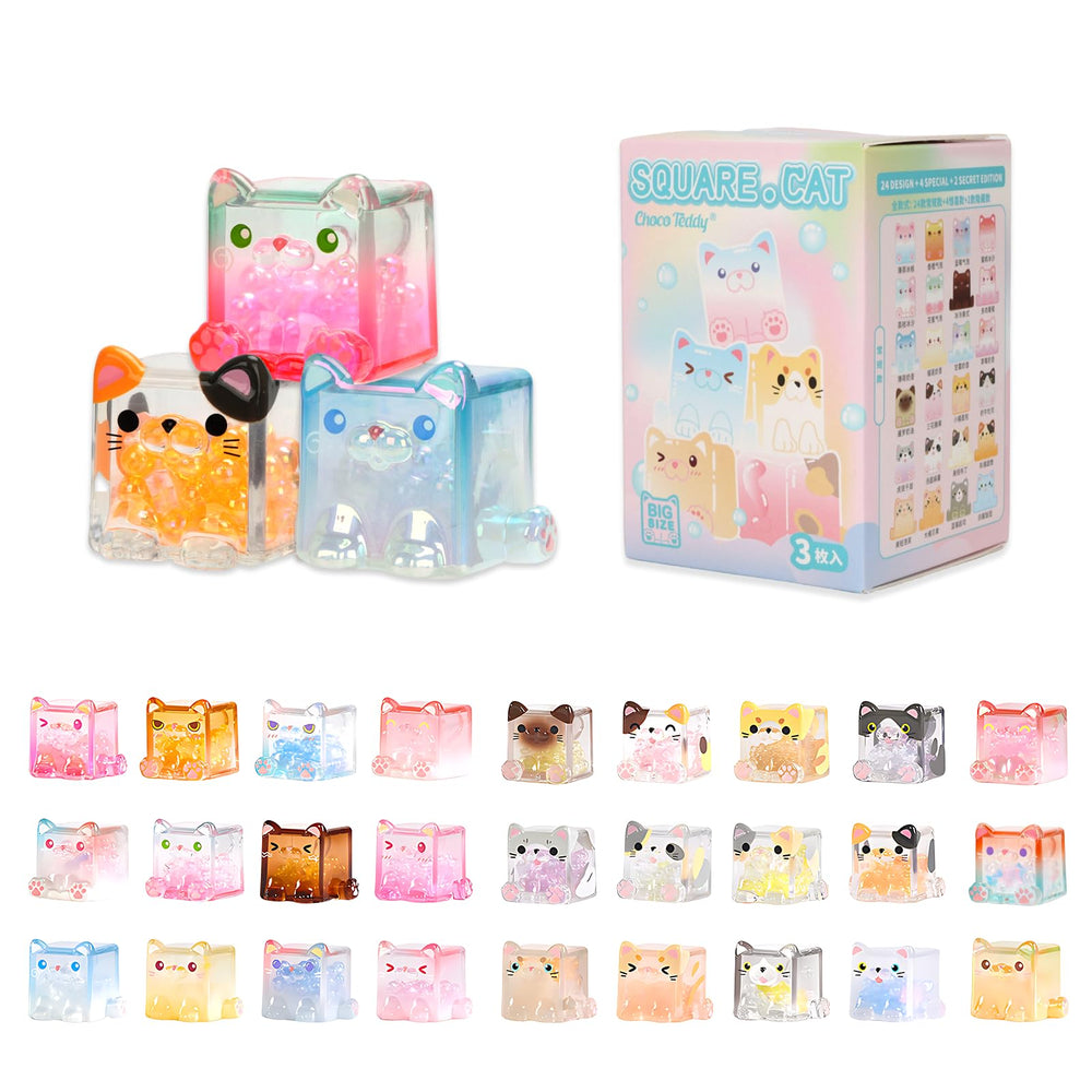 NBBRDDN Square Cat Series box front view for desk display