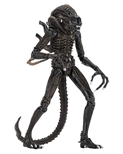 NECA Alien Warrior brown articulation highlights over 30 joints for versatile posing.