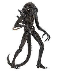 NECA Alien Warrior brown articulation highlights over 30 joints for versatile posing.