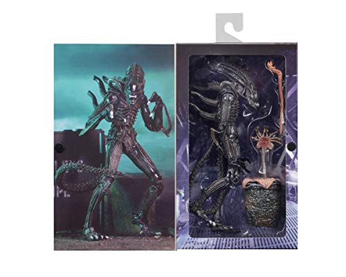 NECA Alien Warrior brown chestburster accessory adds dramatic display options.