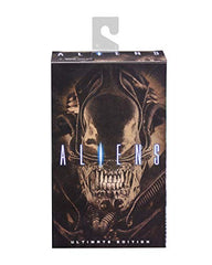 NECA Alien Warrior brown facehugger accessory enhances storytelling in collection displays.