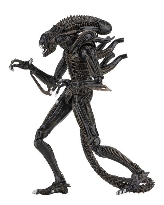 NECA Alien Warrior brown front view with detailed sculpt and poseable joints.