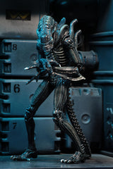 NECA Alien Warrior blue articulation detail enables dynamic poses