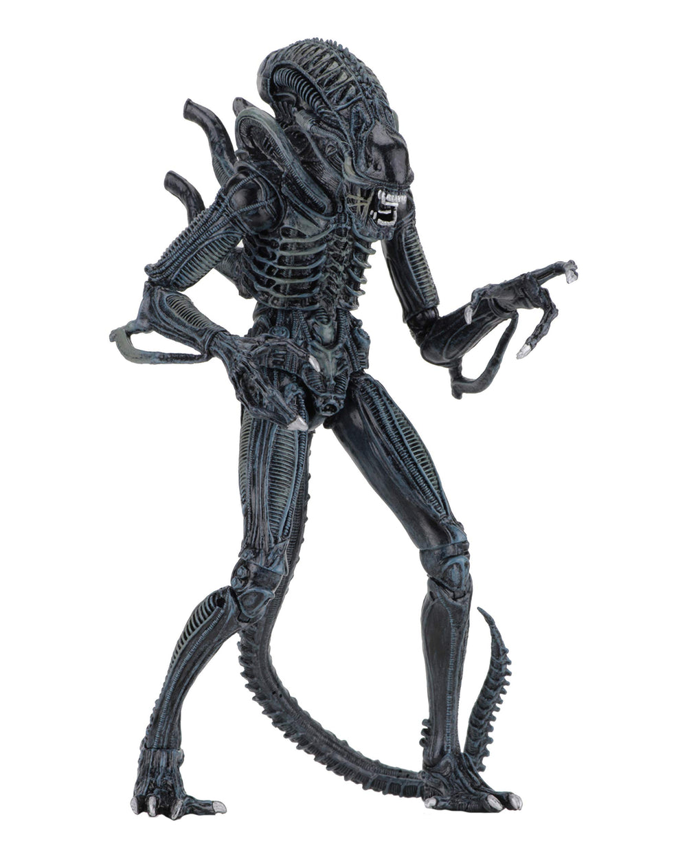 NECA Alien Warrior blue figure with dramatic 9-inch scale for display