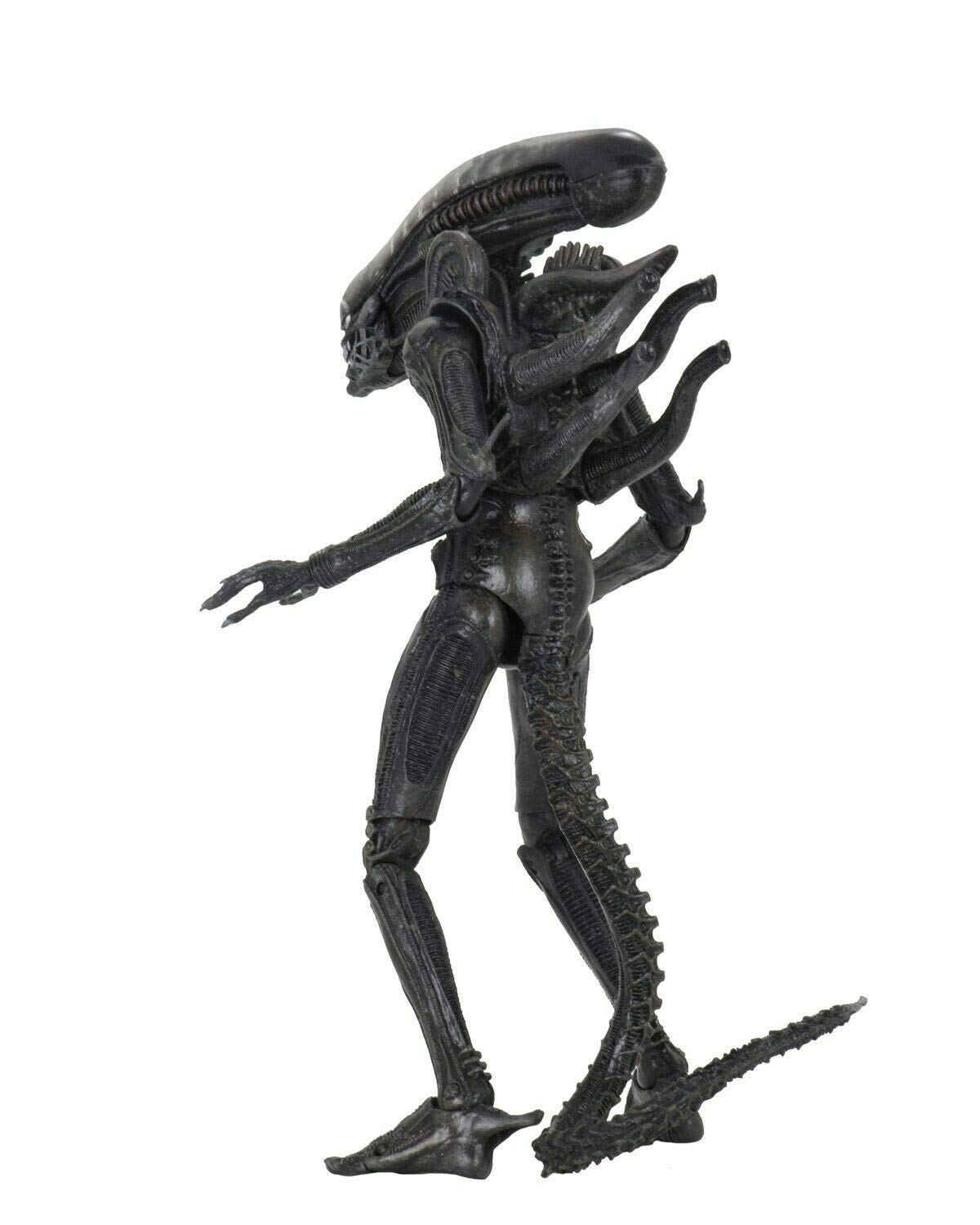 NECA Big Chap bendable tail for dynamic posing.