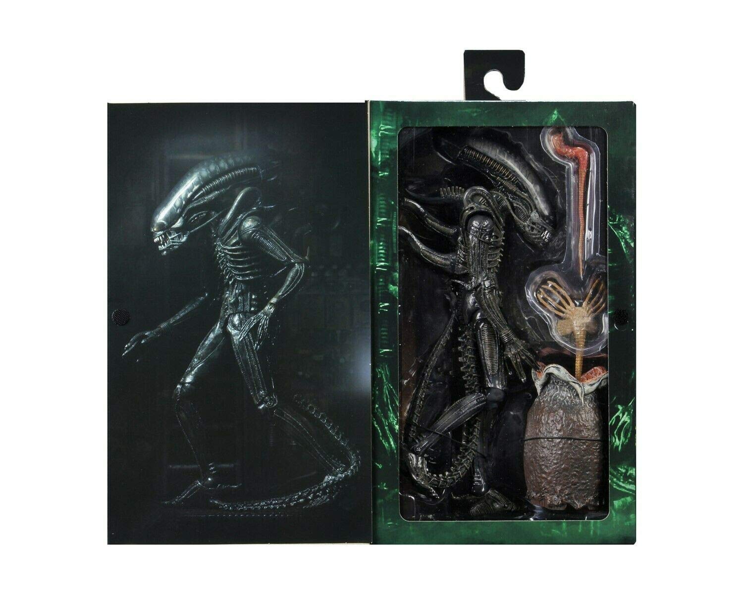 NECA Big Chap display window box packaging supports safe presentation.