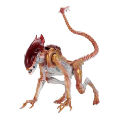 NECA Panther Alien 9-inch figure with Kenner tribute styling and poseable details.