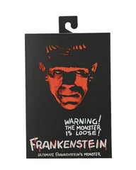 NECA Frankenstein BW figure displayed on diorama-friendly surface for shows.