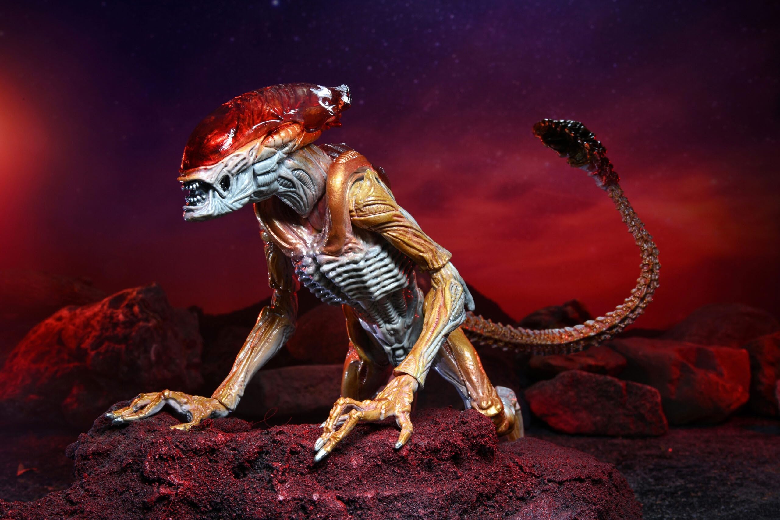 Panther Alien offers enhanced articulation for flexible posing and displays.