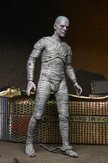 NECA Mummy premium anniversary packaging protects the collector's piece