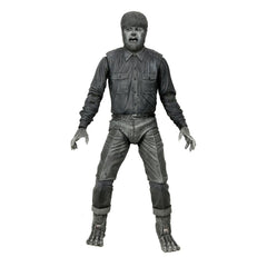 NECA Wolf Man figure in black-and-white deco, 7-inch scale, authentic Lon Chaney Jr. likeness